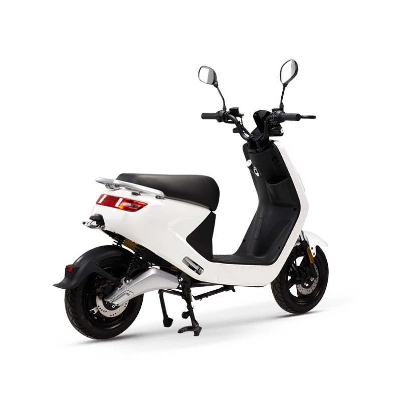 Factory Price 2 Wheel Standing Electric Scooter 1000W for Sale