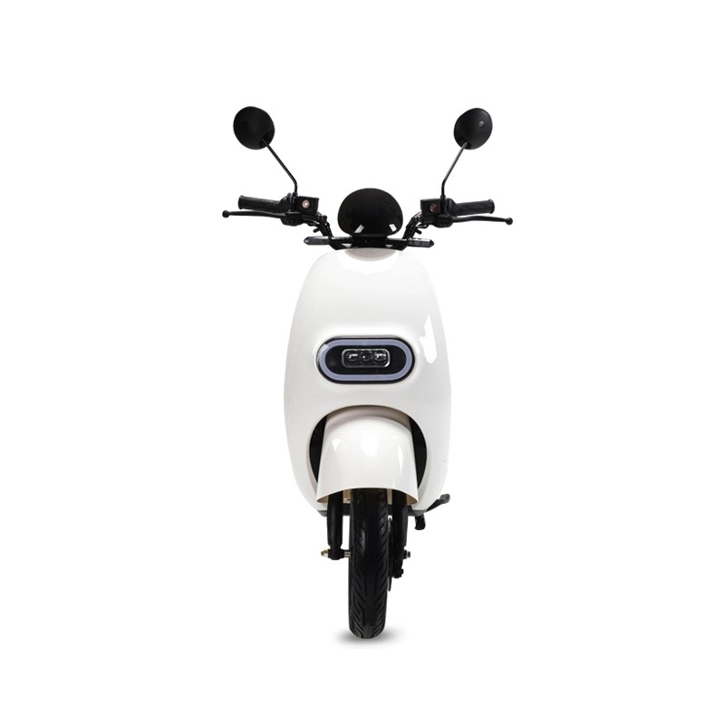 New Design Adult Electric Motorcycle EEC Approval Motorcycle with Battery Powered