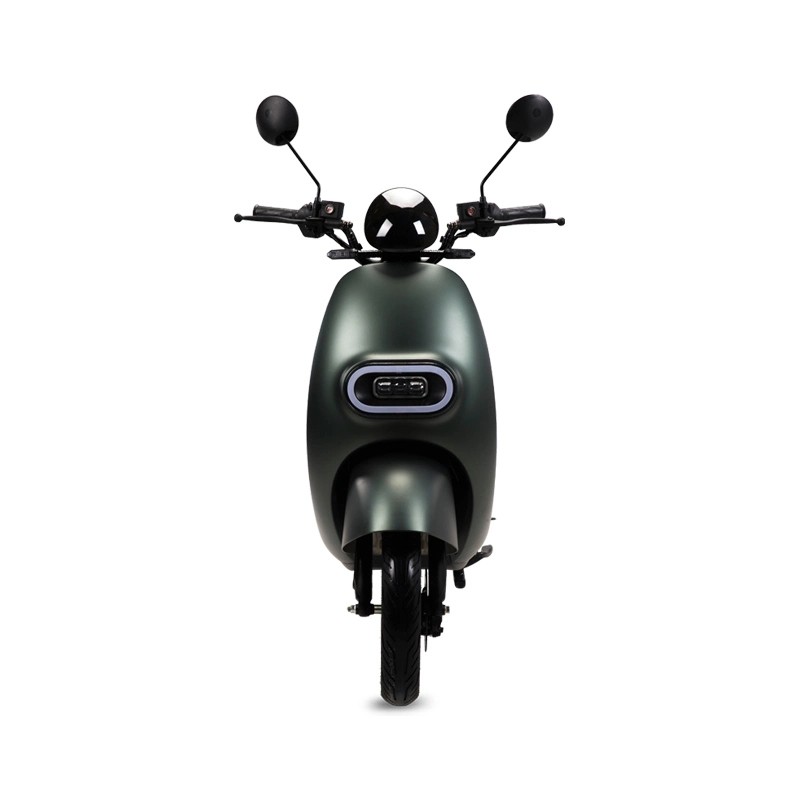 Double Battery Electric Moped Motorcycle