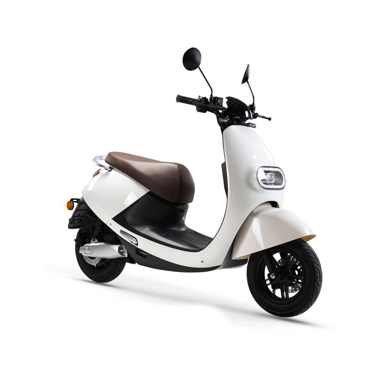 City Coco Scooter Adult Electric Motorcycle Europe for Delivery