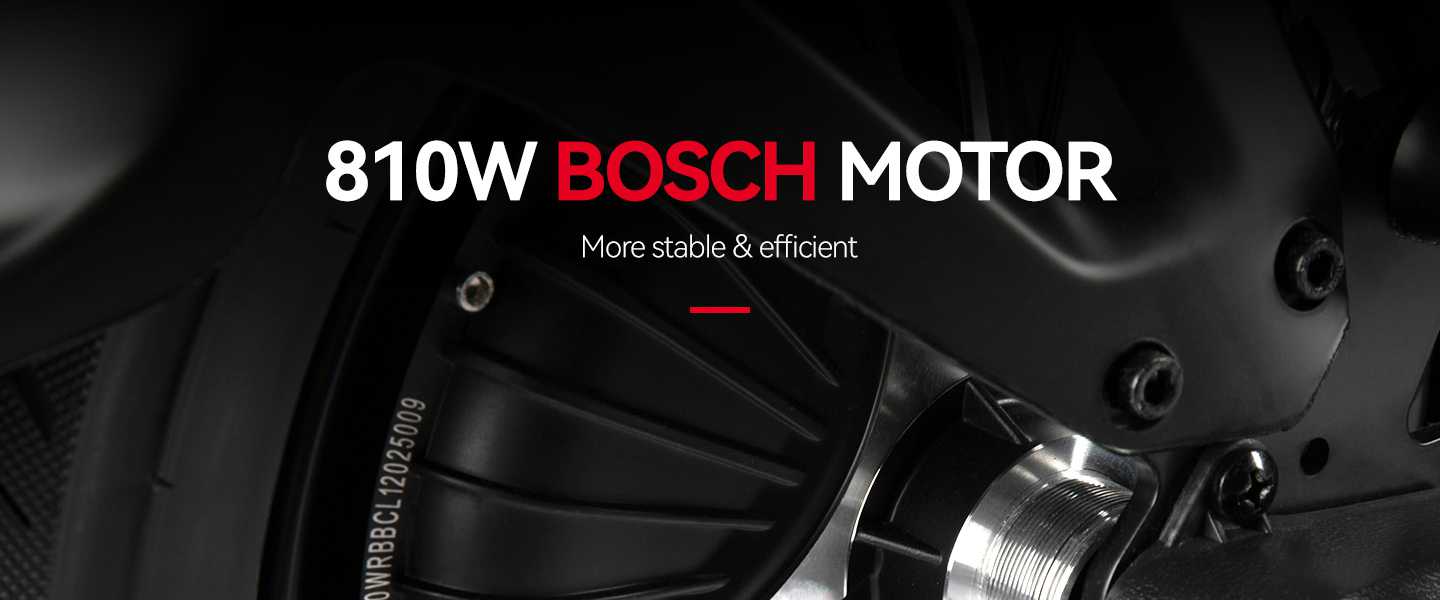 Elektroroller BEE 810W [25 km/h] Bosch Motor - Elektroroller von